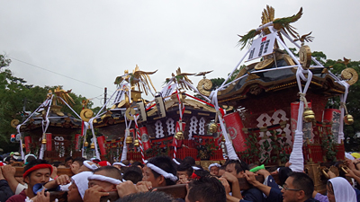 2015年 湘南連合神輿保存會結成四拾周年記念渡御