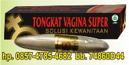 Tongkat Vagina Super TVS 1